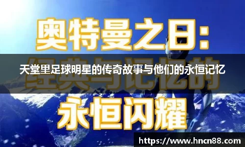 星空综合官方网站